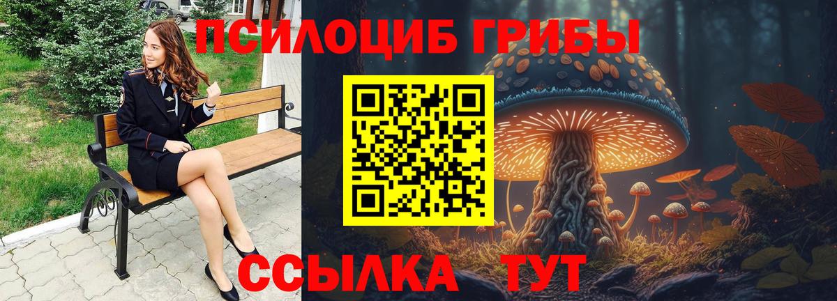 Псилоцибиновые грибы GOLDEN TEACHER  Вход с VPN  Ульяновск  дарнет шоп  Псилоцибиновые грибы Magic Shrooms 